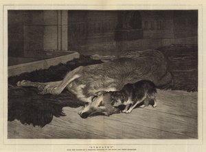 Sympathie